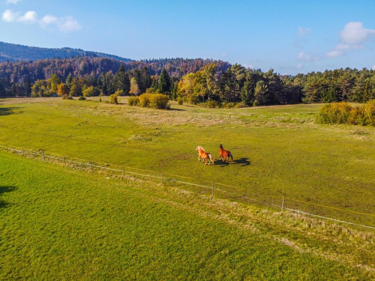 Villa Notranjska Hisa - Traditional Country House, Close To The World Attraction Cerknica Lake à Begunje pri Cerknici Extérieur photo