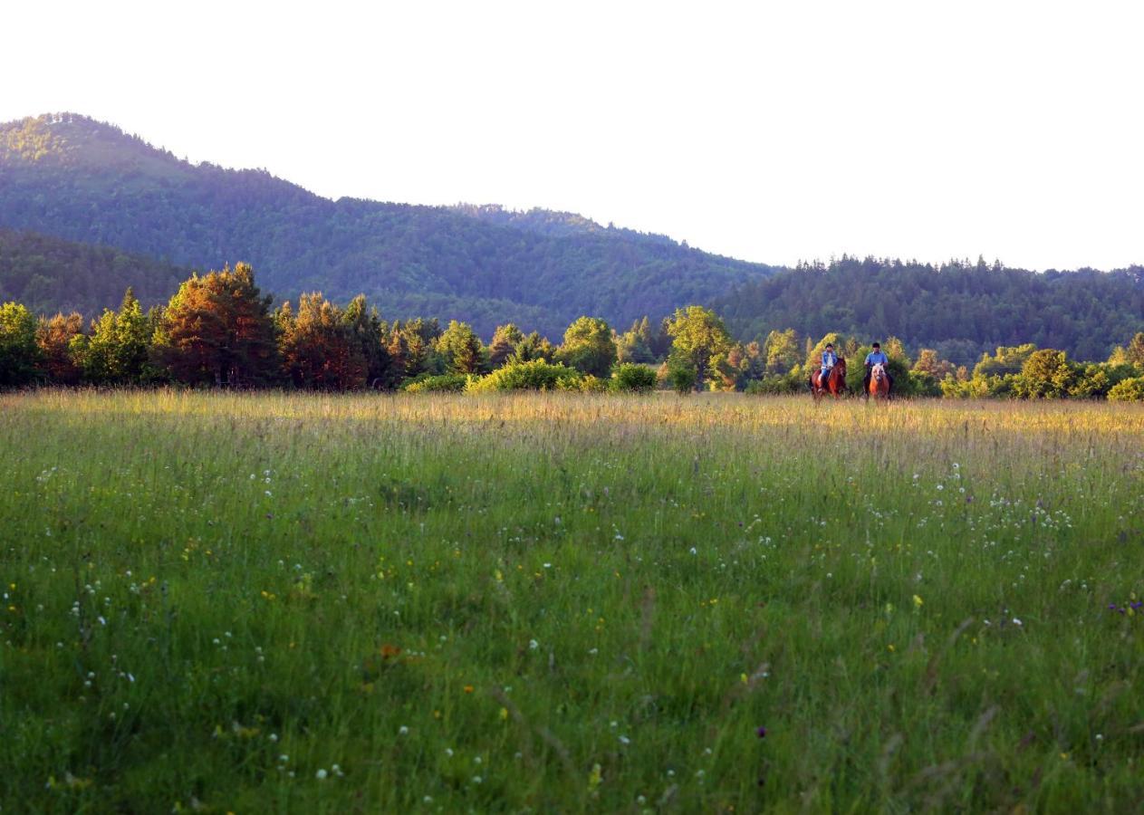 Villa Notranjska Hisa - Traditional Country House, Close To The World Attraction Cerknica Lake à Begunje pri Cerknici Extérieur photo