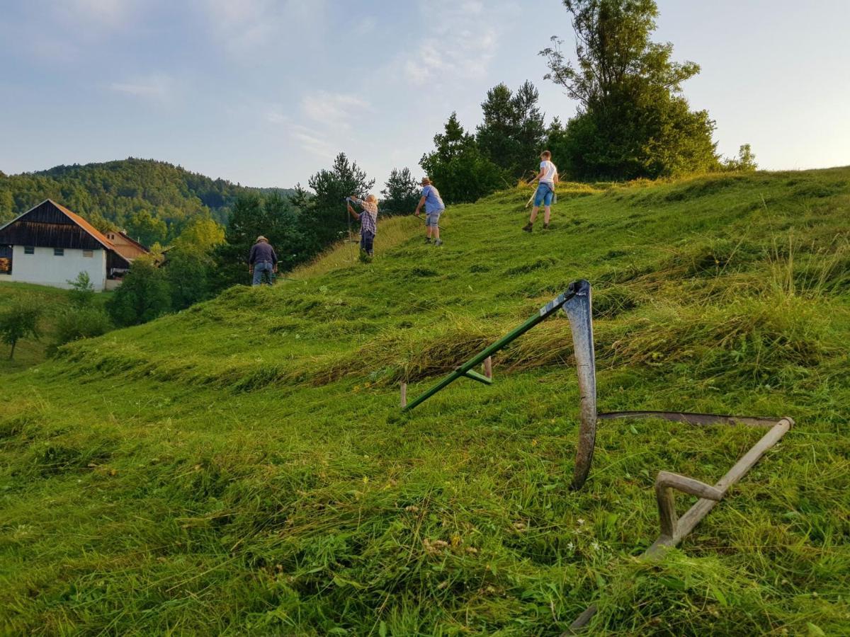 Villa Notranjska Hisa - Traditional Country House, Close To The World Attraction Cerknica Lake à Begunje pri Cerknici Extérieur photo